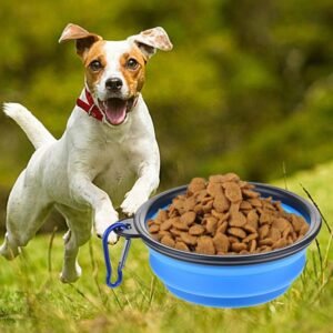 Collapsible Dog Bowl
